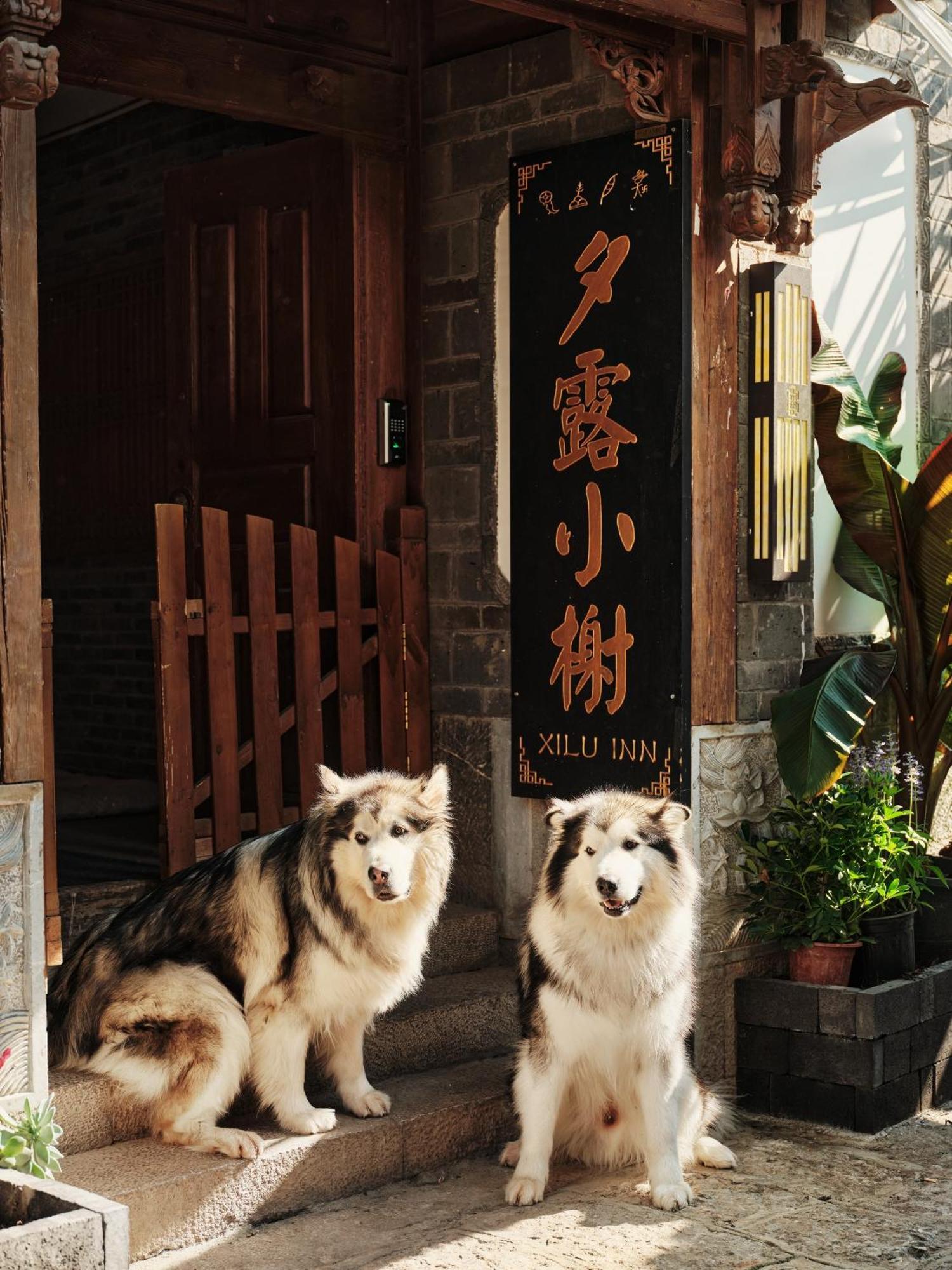 Xilu Xiaoxie Inn Old Town Lijiang Лицзян Экстерьер фото