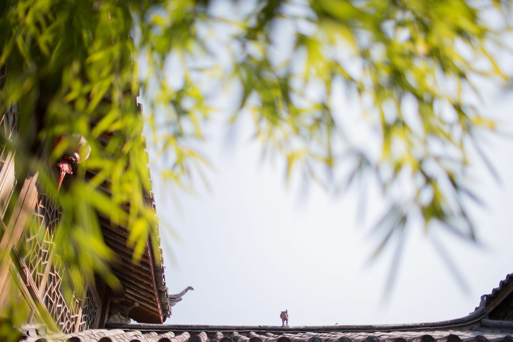 Xilu Xiaoxie Inn Old Town Lijiang Лицзян Экстерьер фото
