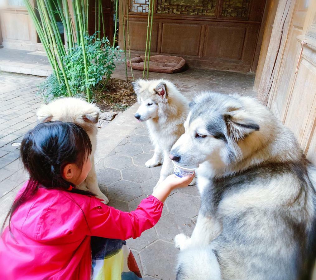 Xilu Xiaoxie Inn Old Town Lijiang Лицзян Экстерьер фото